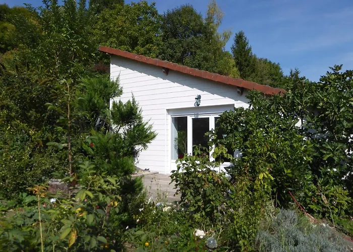 Dans Un Jardin