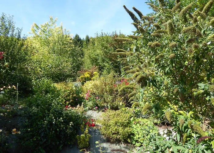 Dans Un Jardin