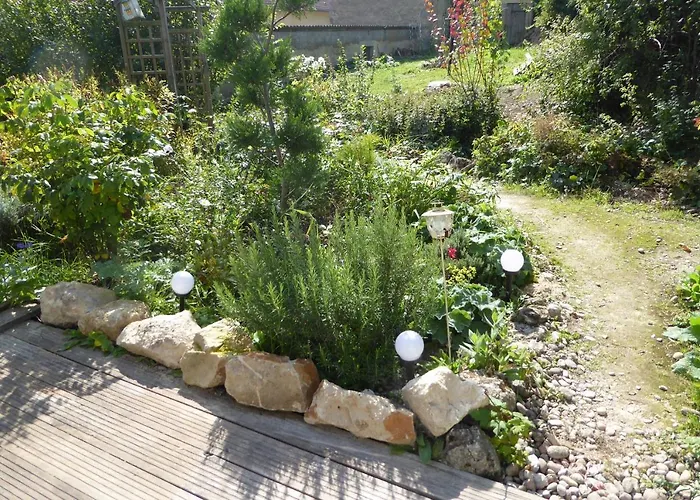 Dans Un Jardin